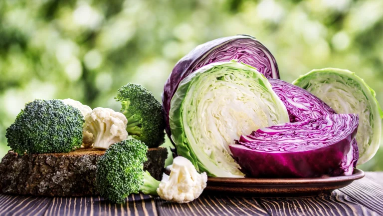 Kohl Diät Kohl Diät
